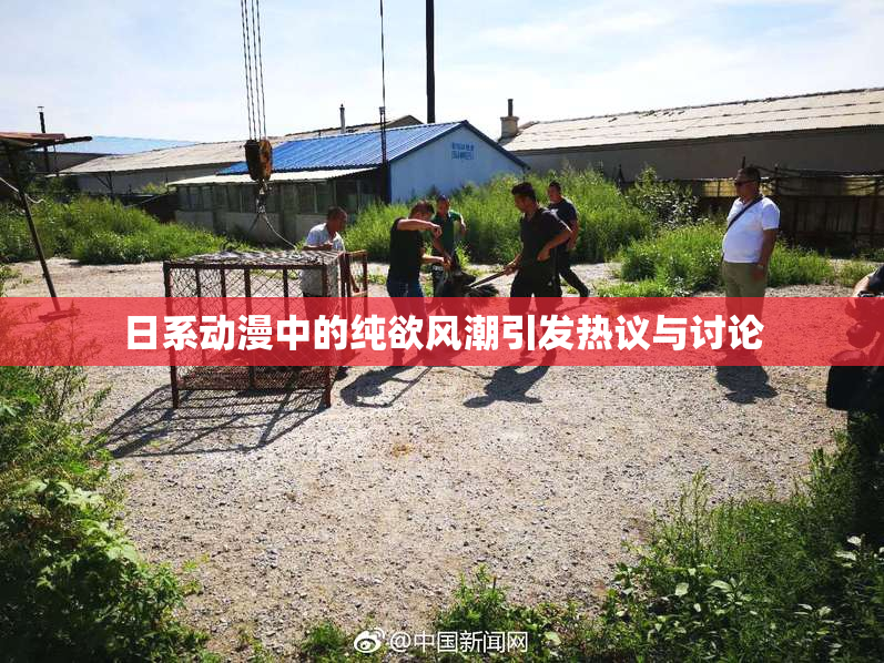 日系动漫中的纯欲风潮引发热议与讨论