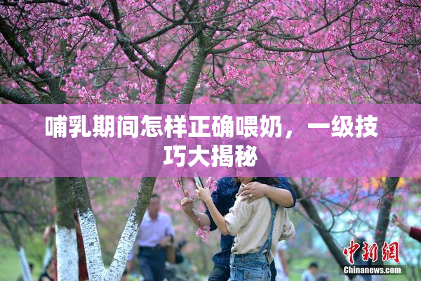 哺乳期间怎样正确喂奶，一级技巧大揭秘