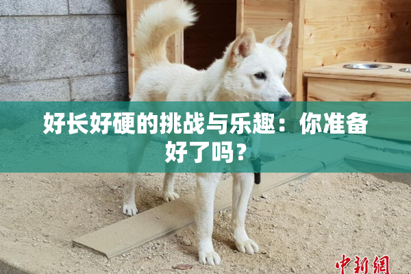 好长好硬的挑战与乐趣：你准备好了吗？