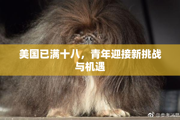 美国已满十八，青年迎接新挑战与机遇
