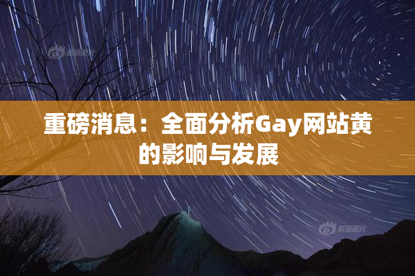 重磅消息：全面分析Gay网站黄的影响与发展