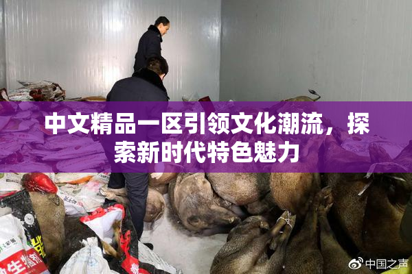 中文精品一区引领文化潮流，探索新时代特色魅力