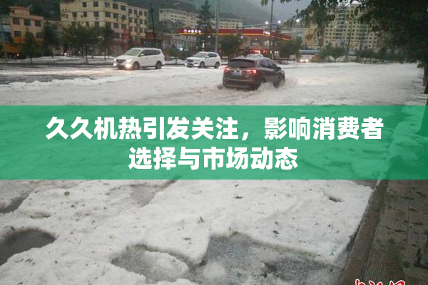 久久机热引发关注，影响消费者选择与市场动态