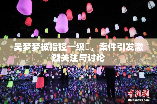 吴梦梦被指控一级婬，案件引发激烈关注与讨论