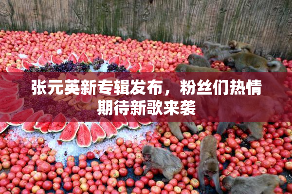 张元英新专辑发布，粉丝们热情期待新歌来袭
