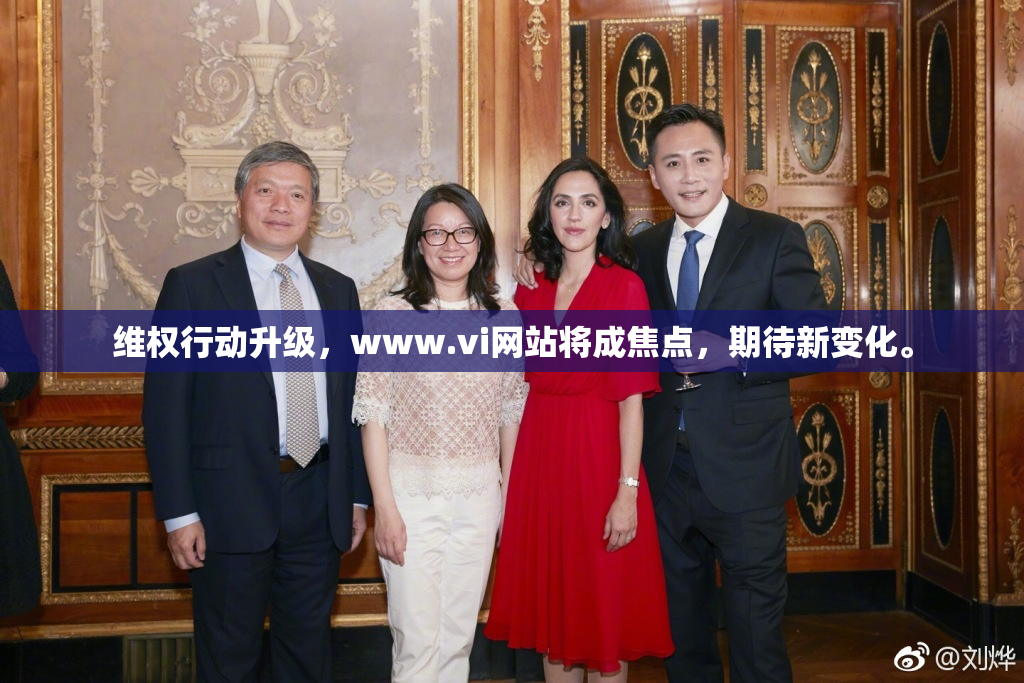 维权行动升级，www.vi网站将成焦点，期待新变化。