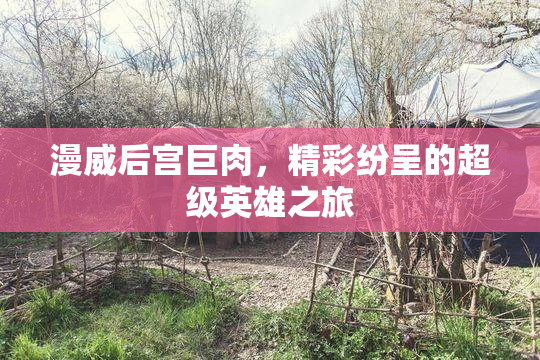 漫威后宫巨肉，精彩纷呈的超级英雄之旅