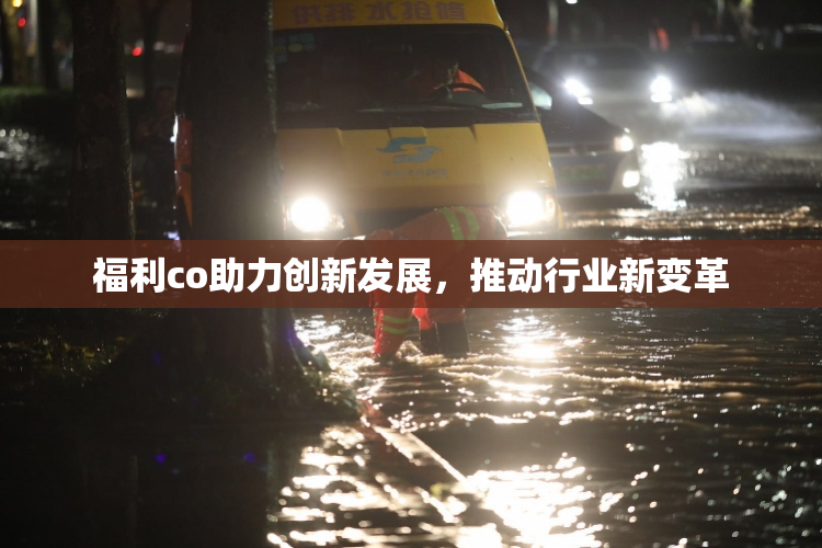 福利co助力创新发展，推动行业新变革