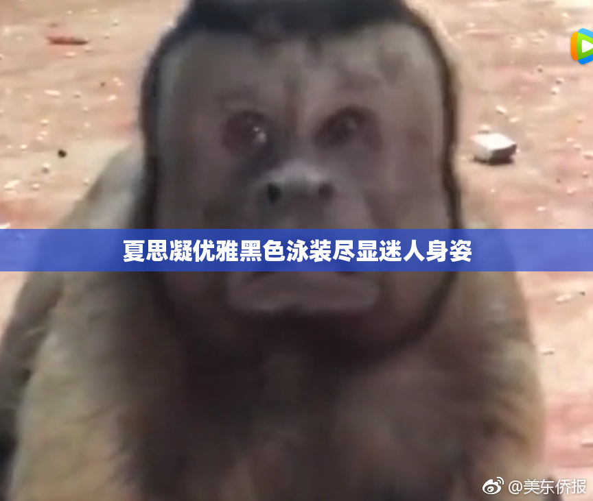 夏思凝优雅黑色泳装尽显迷人身姿