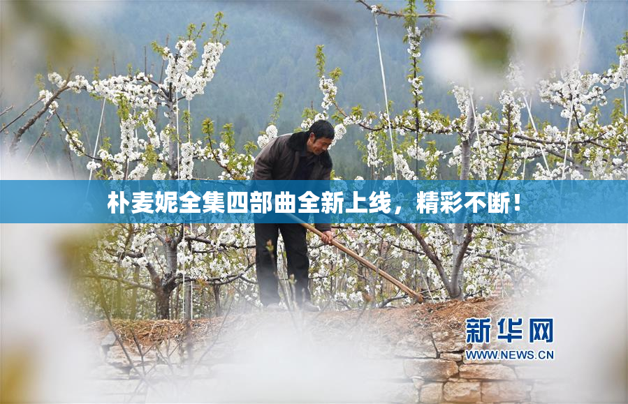 朴麦妮全集四部曲全新上线，精彩不断！