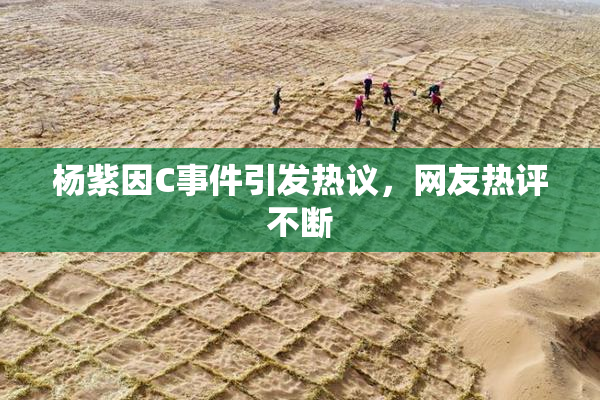 杨紫因C事件引发热议，网友热评不断