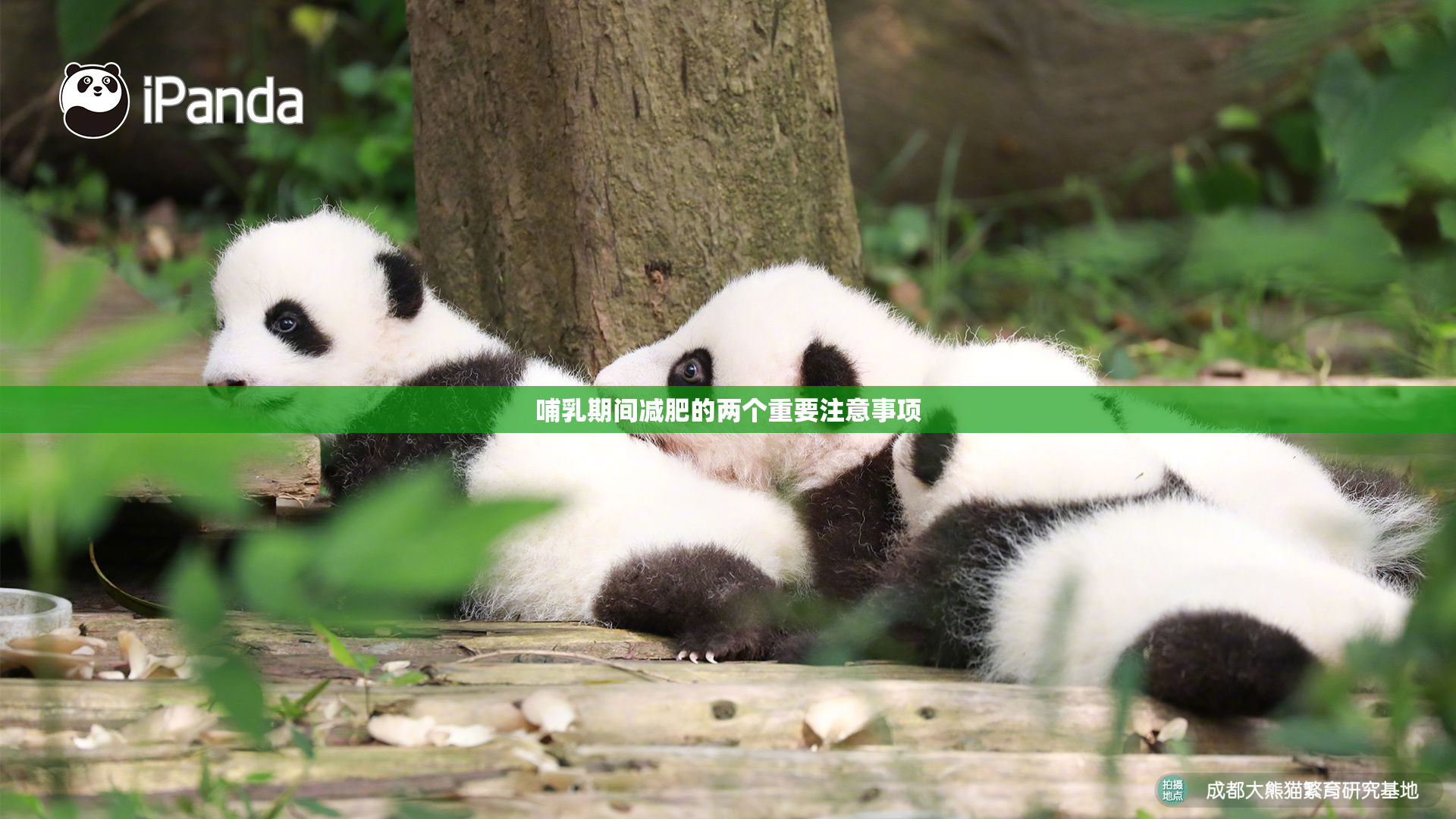哺乳期间减肥的两个重要注意事项