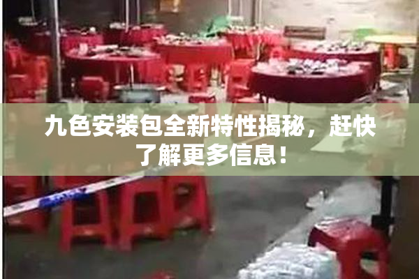 九色安装包全新特性揭秘，赶快了解更多信息！