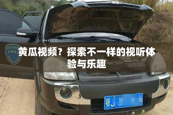 黄瓜视频？探索不一样的视听体验与乐趣