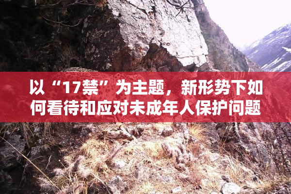 以“17禁”为主题，新形势下如何看待和应对未成年人保护问题？