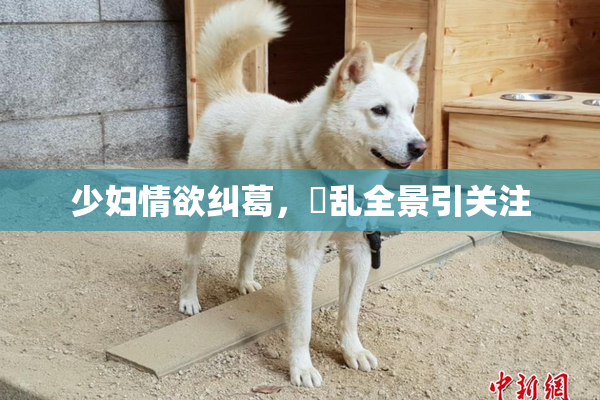 少妇情欲纠葛，婬乱全景引关注