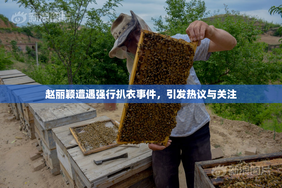赵丽颖遭遇强行扒衣事件，引发热议与关注