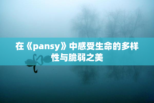 在《pansy》中感受生命的多样性与脆弱之美