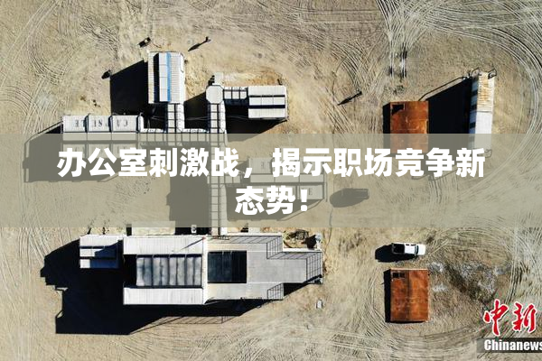 办公室刺激战，揭示职场竞争新态势！