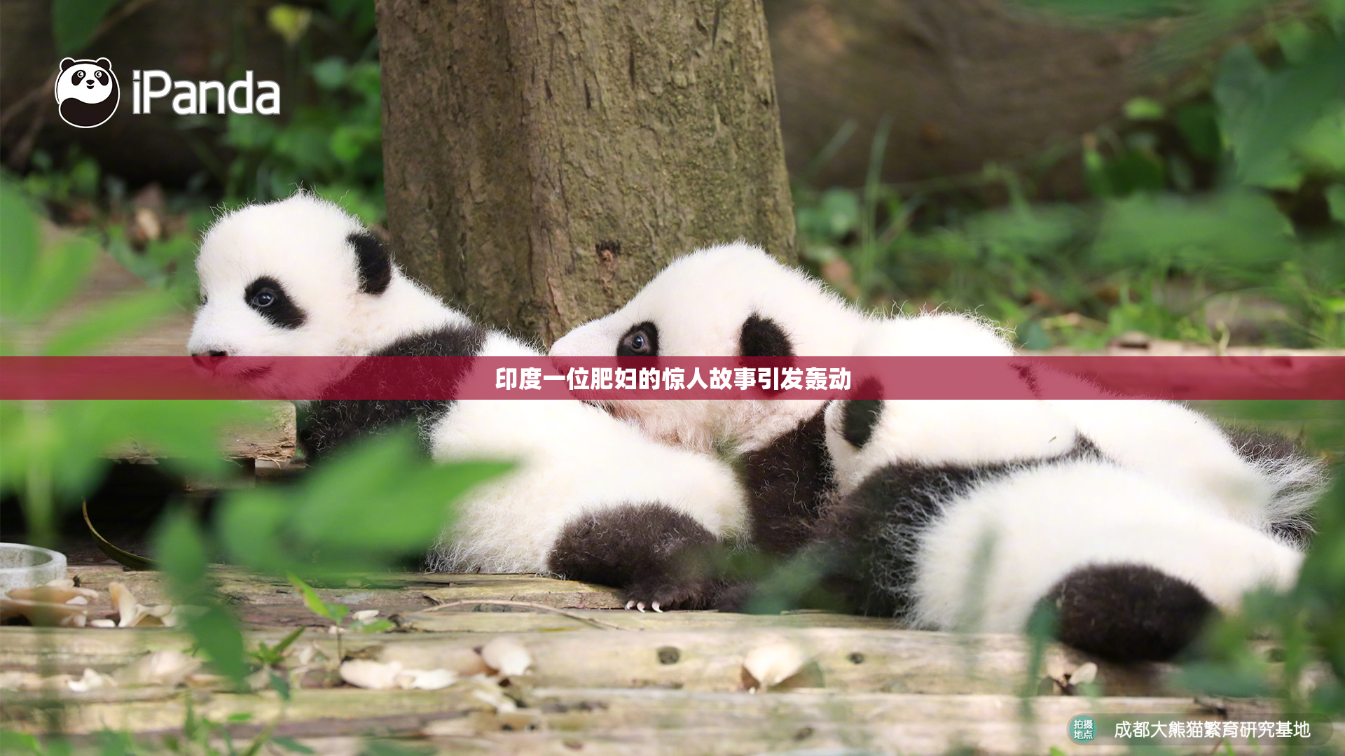 印度一位肥妇的惊人故事引发轰动