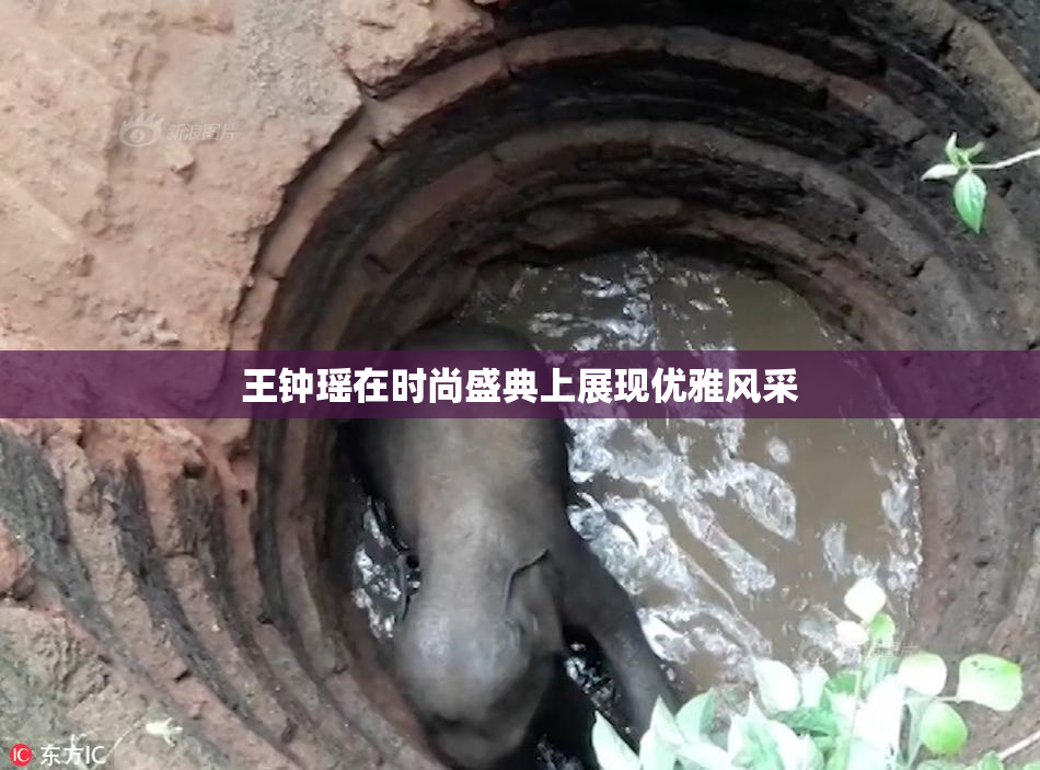 王钟瑶在时尚盛典上展现优雅风采