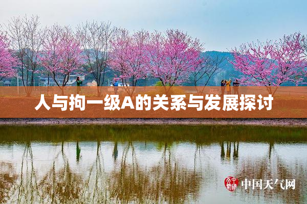 人与拘一级A的关系与发展探讨