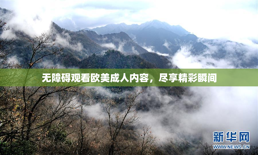 无障碍观看欧美成人内容，尽享精彩瞬间