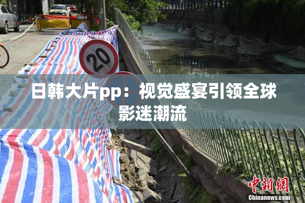 日韩大片pp：视觉盛宴引领全球影迷潮流