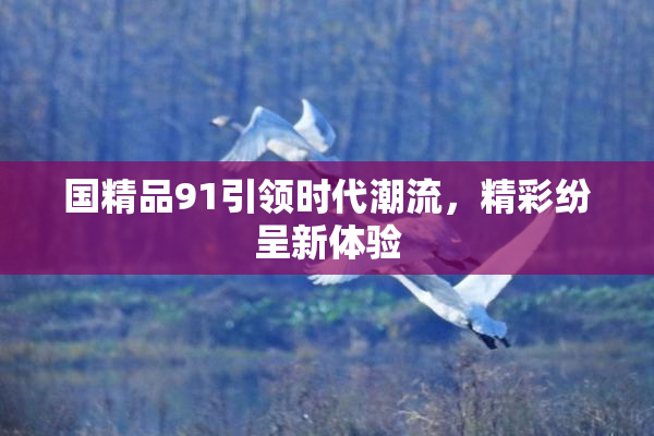 国精品91引领时代潮流，精彩纷呈新体验