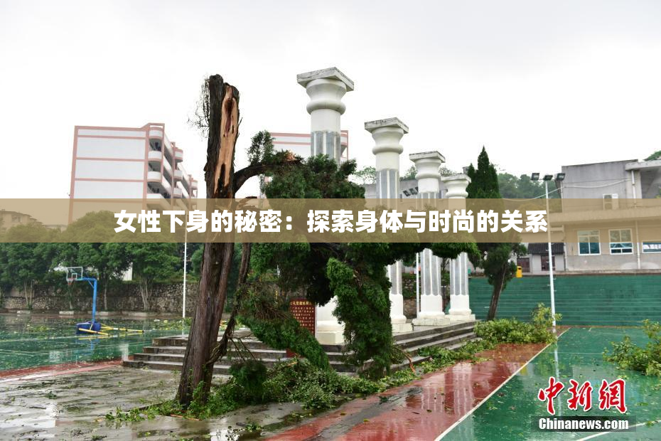 女性下身的秘密：探索身体与时尚的关系