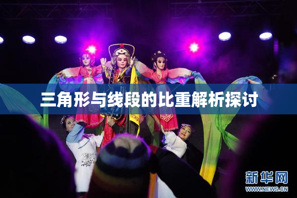 三角形与线段的比重解析探讨