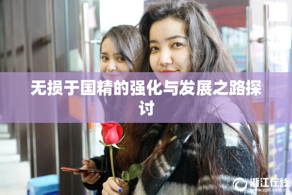 无损于国精的强化与发展之路探讨