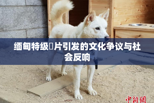 缅甸特级婬片引发的文化争议与社会反响