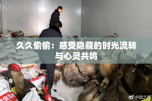久久偷偷：感受隐藏的时光流转与心灵共鸣