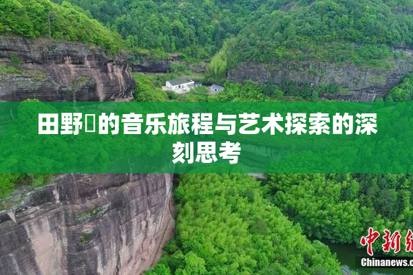 田野憂的音乐旅程与艺术探索的深刻思考