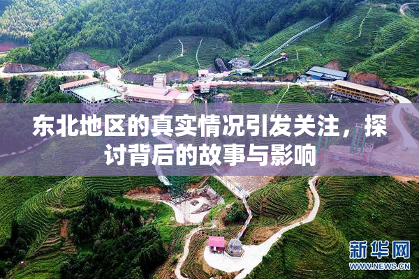 东北地区的真实情况引发关注，探讨背后的故事与影响