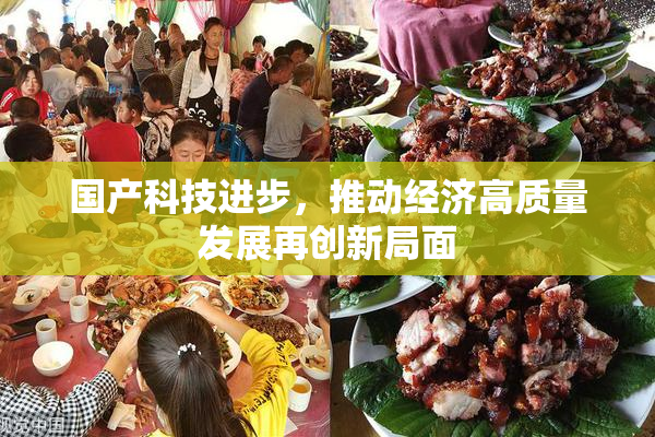 国产科技进步，推动经济高质量发展再创新局面