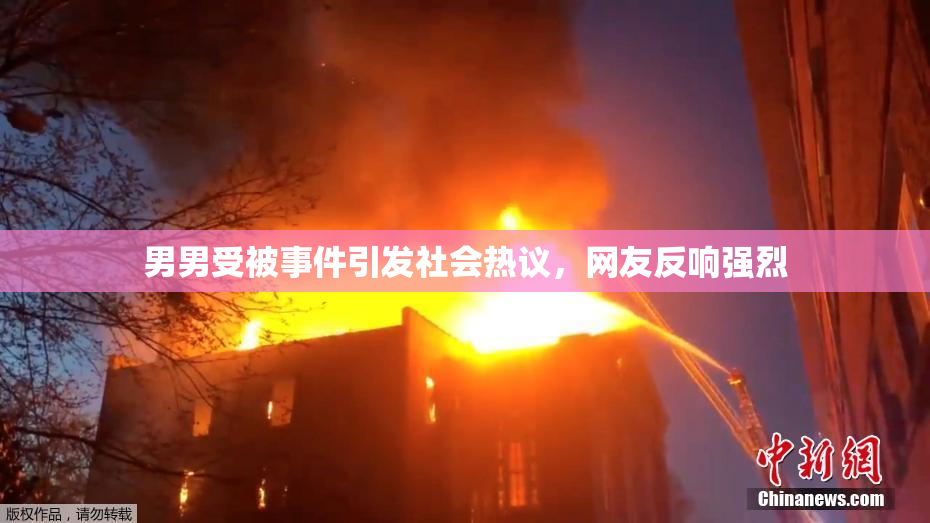 男男受被事件引发社会热议，网友反响强烈