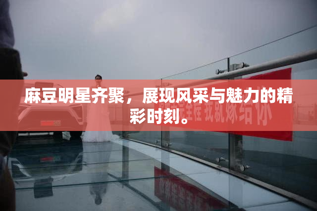 麻豆明星齐聚，展现风采与魅力的精彩时刻。