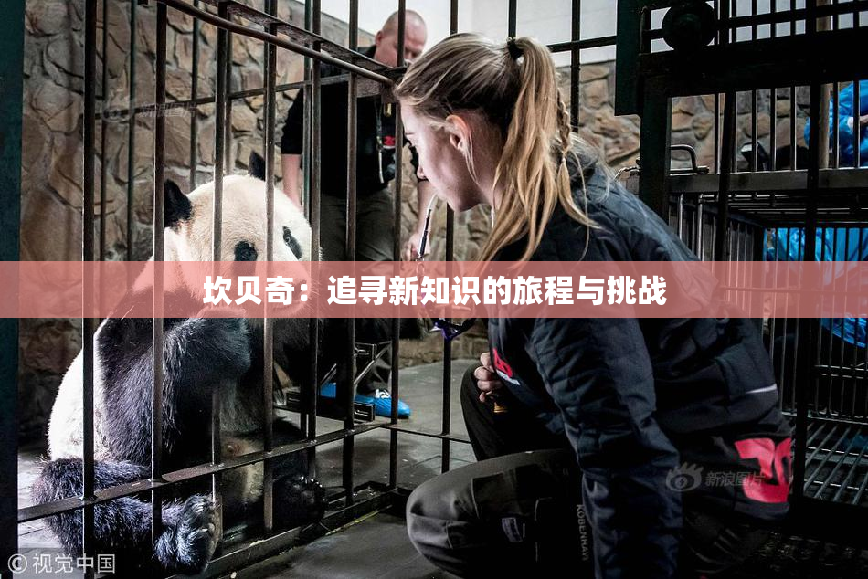 坎贝奇：追寻新知识的旅程与挑战