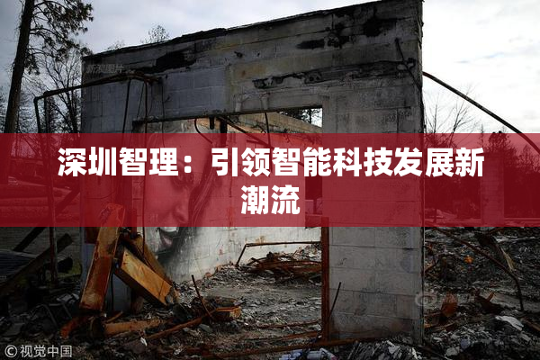 深圳智理：引领智能科技发展新潮流
