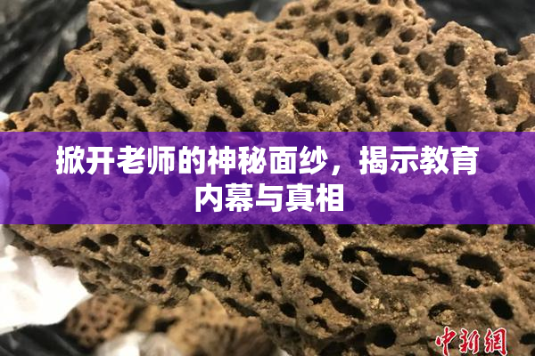 掀开老师的神秘面纱，揭示教育内幕与真相