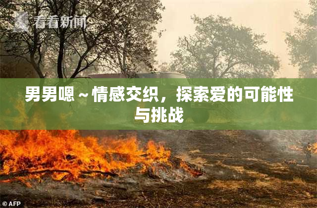 男男嗯～情感交织，探索爱的可能性与挑战