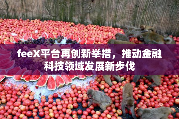 feeX平台再创新举措，推动金融科技领域发展新步伐