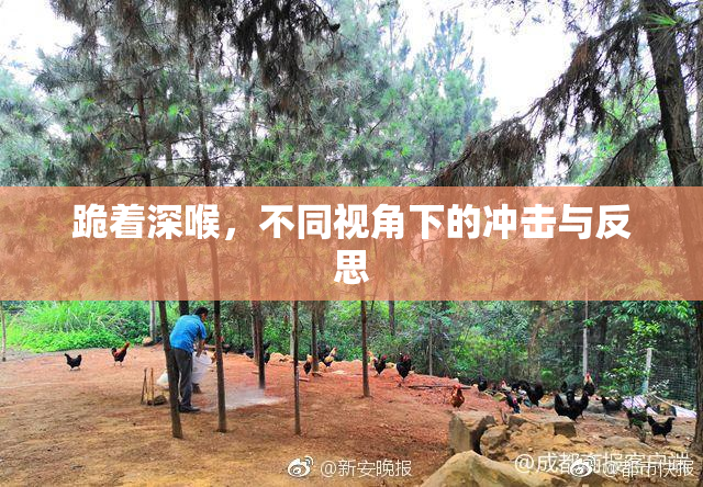 跪着深喉，不同视角下的冲击与反思