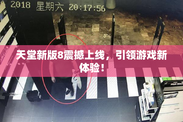 天堂新版8震撼上线，引领游戏新体验！
