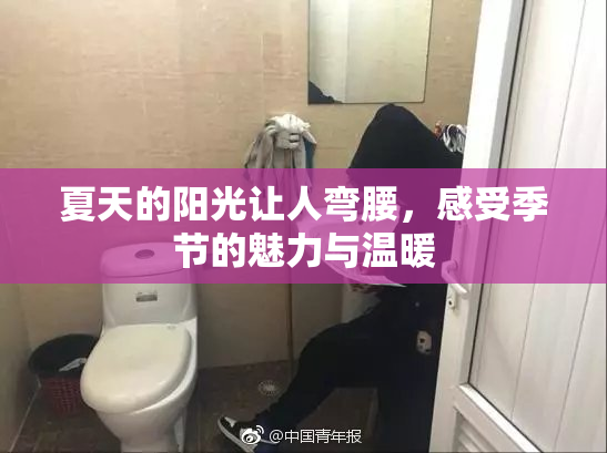 夏天的阳光让人弯腰，感受季节的魅力与温暖