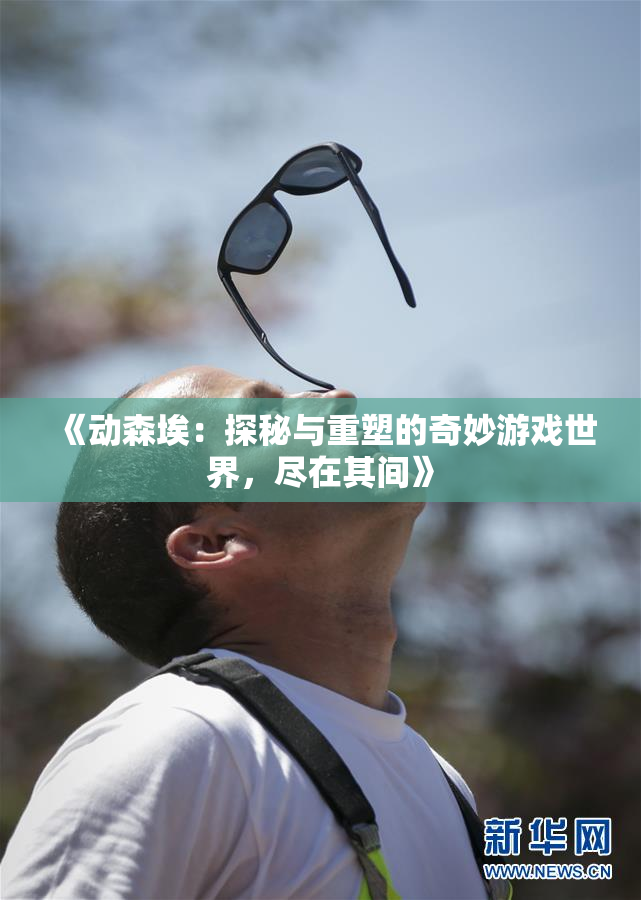 《动森埃：探秘与重塑的奇妙游戏世界，尽在其间》