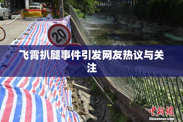 飞霄扒腿事件引发网友热议与关注