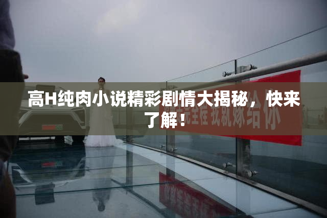 高H纯肉小说精彩剧情大揭秘，快来了解！